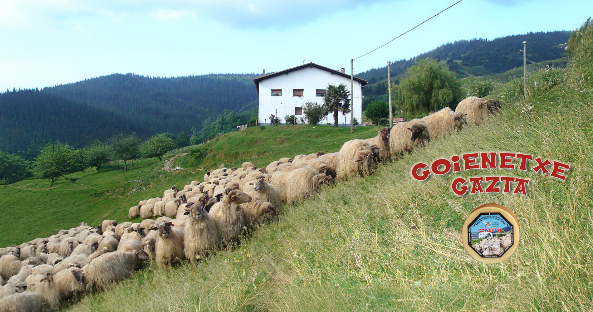 Goienetxe Gazta - Quesos - Mutriku - Motrico - Gipuzkoa